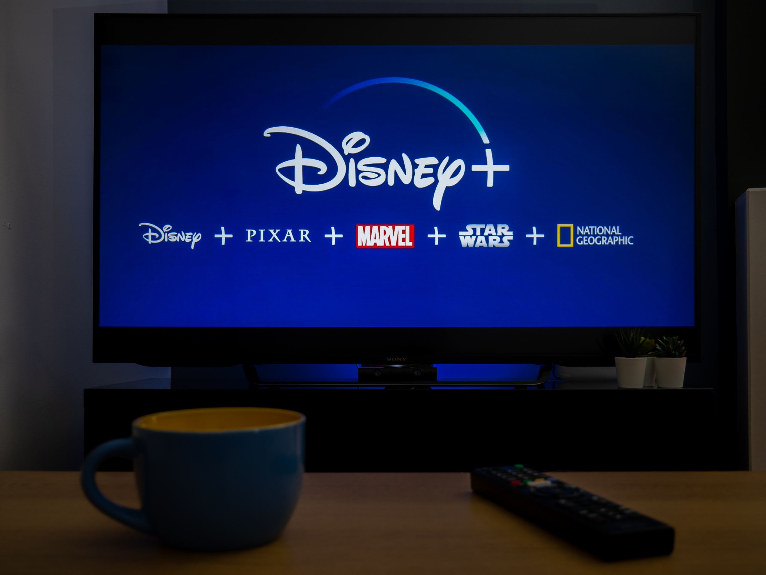 What You Need to Know About Disney Plus